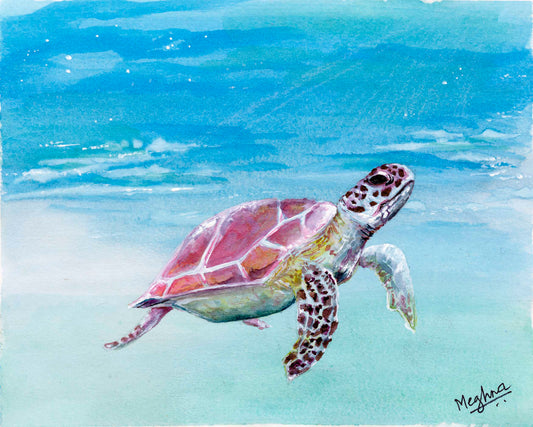 The Turtle’s Flight