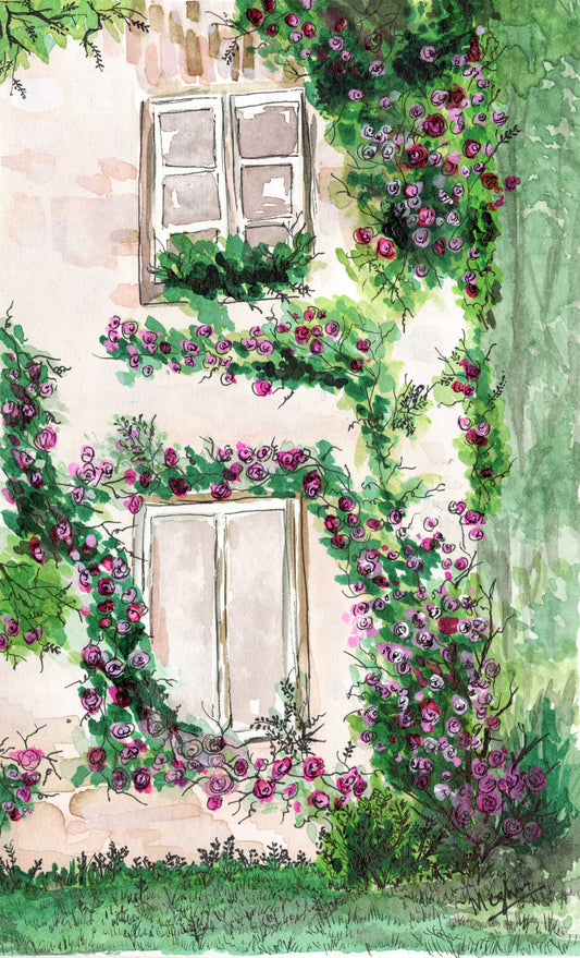 Garden of roses